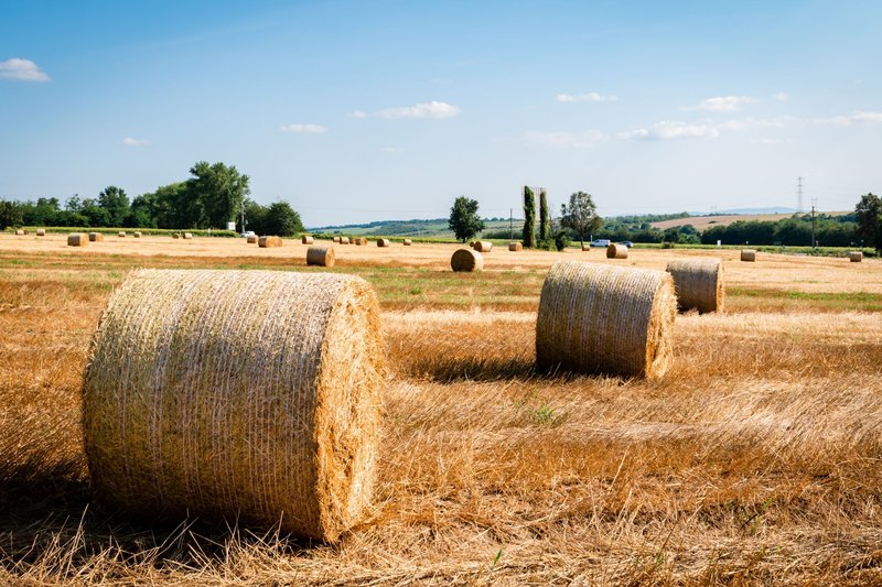 A scenic rural farmland with hay bales under a clear summer sky, showcasing agricultural beauty.