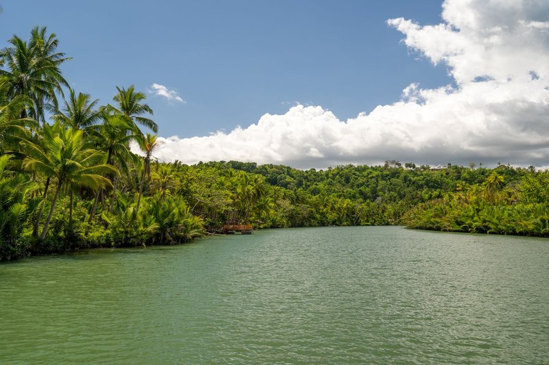 Serene tropical river lined with lush palm trees under a bright sky.