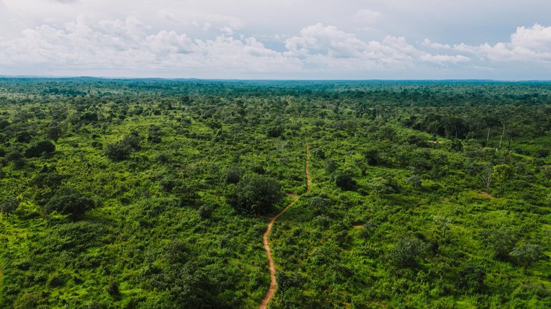 Aerial photograph of a lush green forest landscape in Gado-Badzéré, East Cameroon.