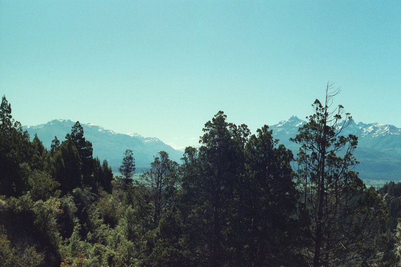 Lush green forest with Andes Mountains in Trevelin, Chubut, Argentina.
