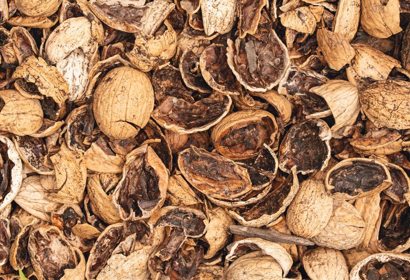 Detailed image of cracked walnut shells, showcasing organic textures and colors.