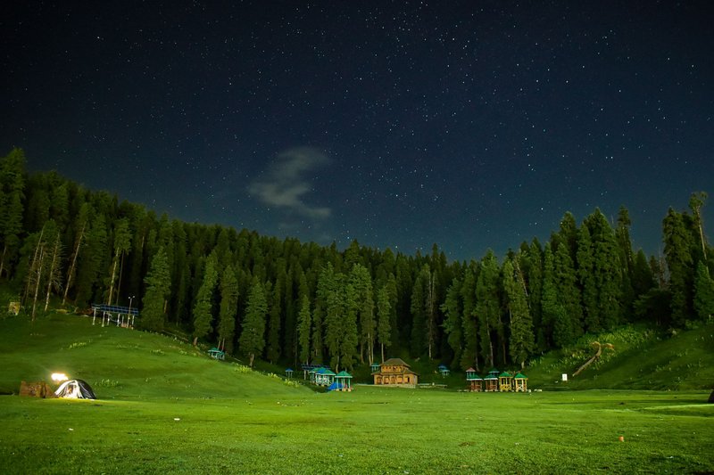 A serene night sky filled with stars over a lush green meadow and dense forest.