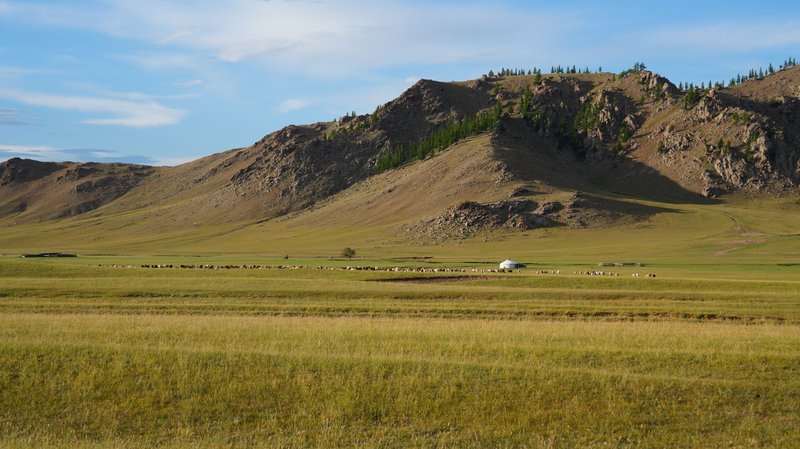 A wide shot of the Mongolian steppe featuring a yurt and grazing sheep below rugged mountains.