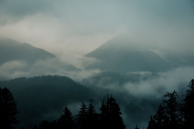 Serene view of misty mountain range enveloped in fog and dense forest.