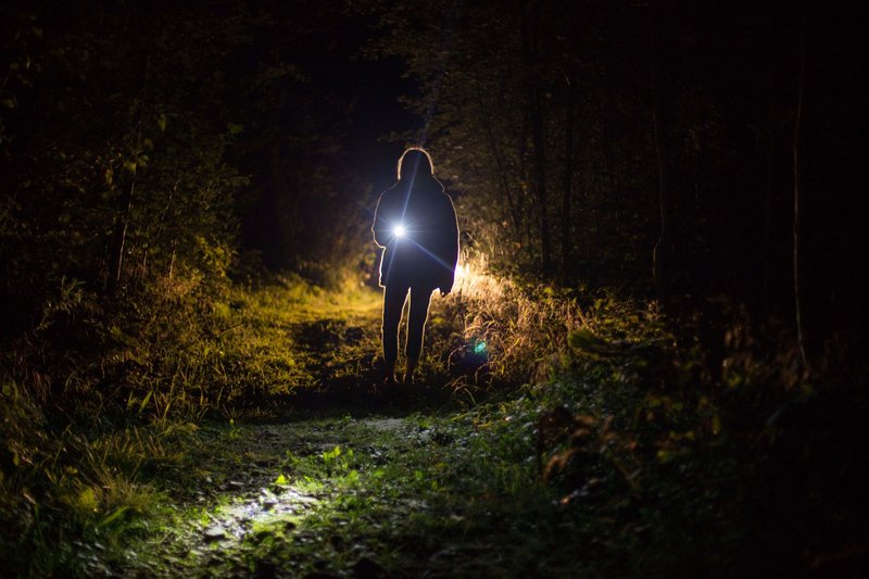 A lone woman with a flashlight illuminates a dark forest path, creating a mysterious nighttime scene.