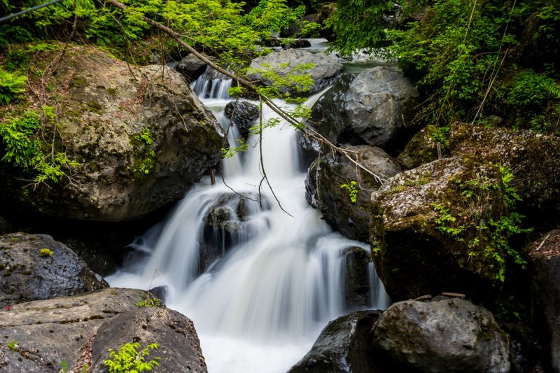 A peaceful waterfall flows through mossy rocks in a lush green forest setting.