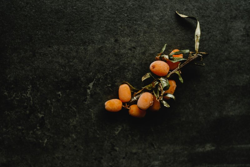 Detailed close-up of vibrant sea buckthorn berries on a dark textured background.