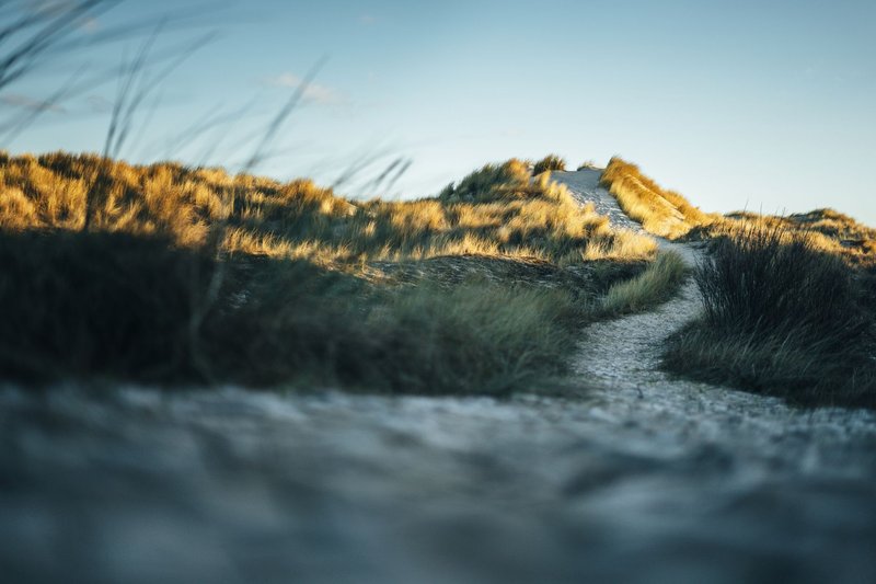 Serene gravel path through grass-covered dunes in Borkum, illuminated by sunset glow.