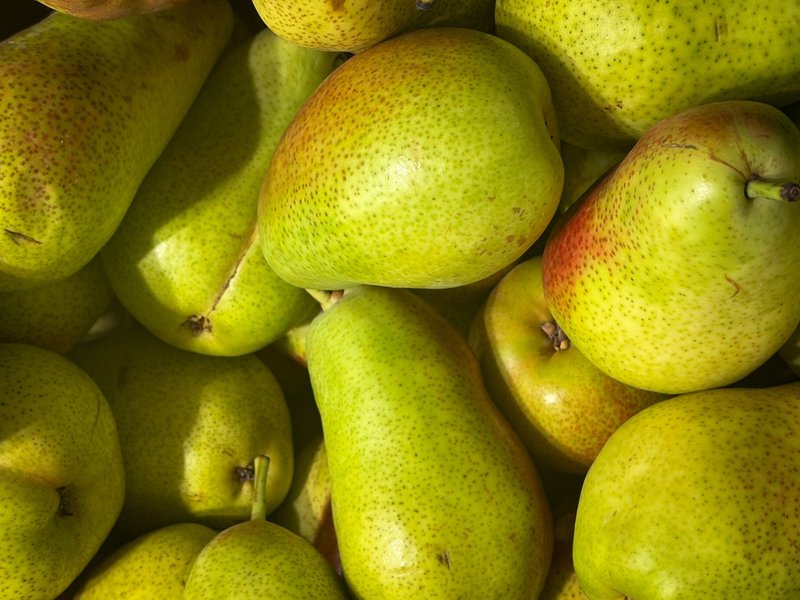 A close-up of fresh green pears showcased under natural sunlight.