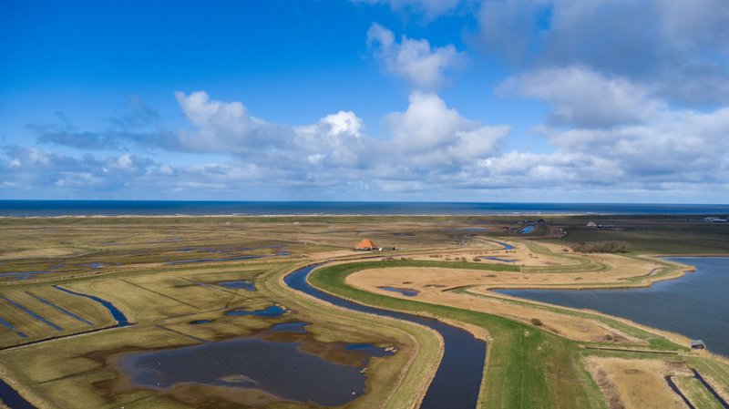 Aerial view of a scenic Dutch coastal landscape with green fields and waterways under a bright blue sky.