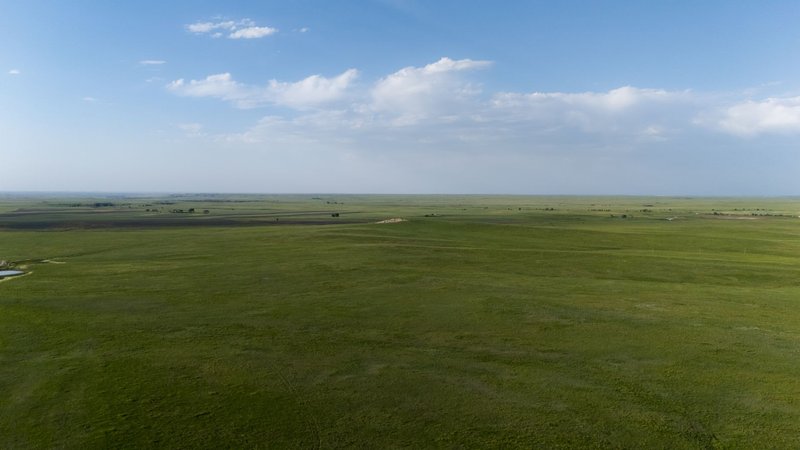 A wide view of sprawling grasslands with a clear blue sky, ideal for nature lovers.
