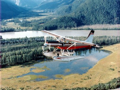 Aeroplane Flying Fish