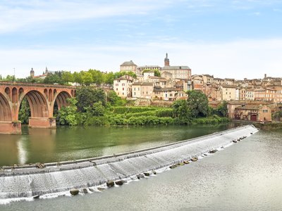 Albi