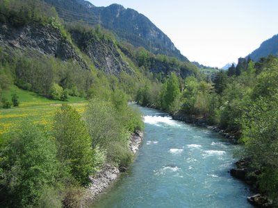 Albula