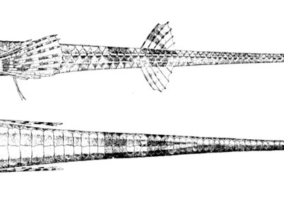 Alligatorfish