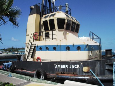 Amber Jack