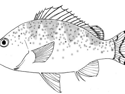 Amniataba
