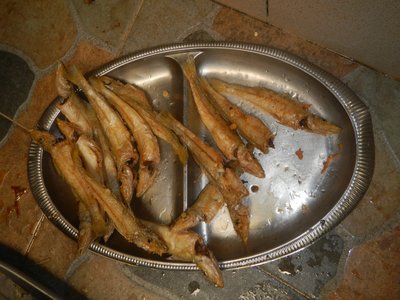Banded Whiting