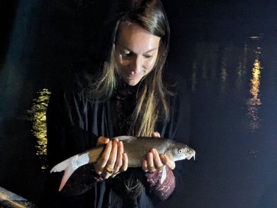 Barbel