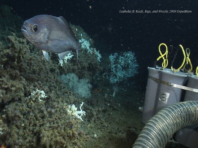 Barrelfish