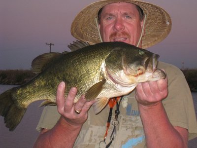 Blue Bass