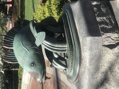 Boston Cod