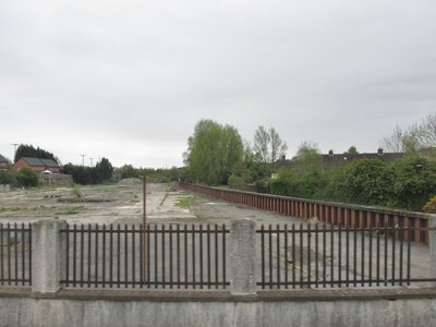 Brown Comber