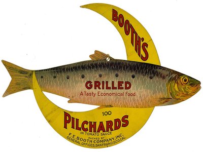 California Pilchard