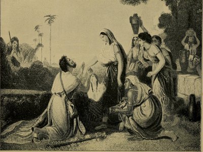 Camel Damsel