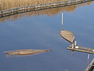 Floating Eel