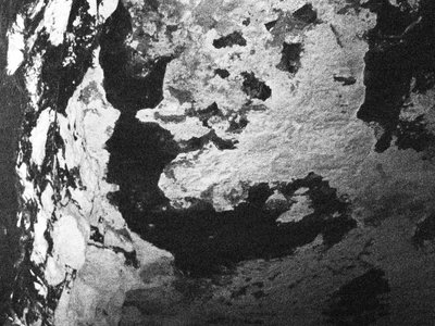 Giant Cave Fish