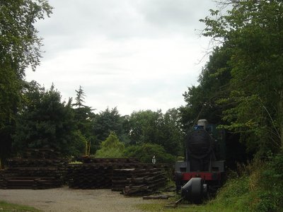 Giant Sleeper