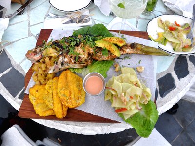 Green Snapper