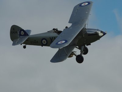 Hind