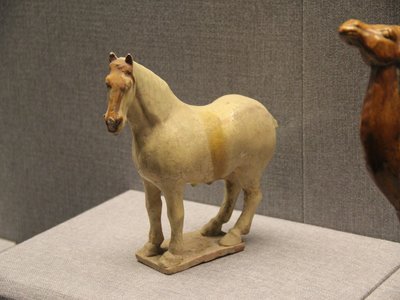 Horse Tang