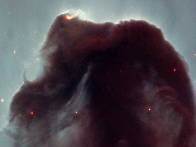 Horsehead Seahorse
