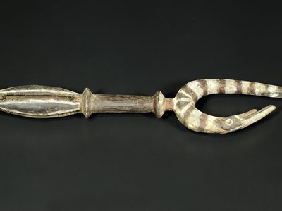Hyporamphus