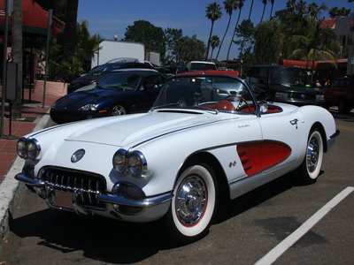 Immaculate Stingray