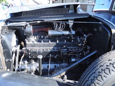 Imperial Flathead