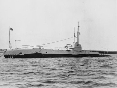 Imperial Snapper