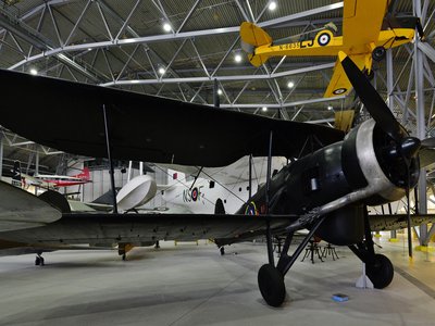 Imperial Swordfish