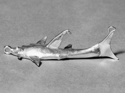 Indian Cat Shark