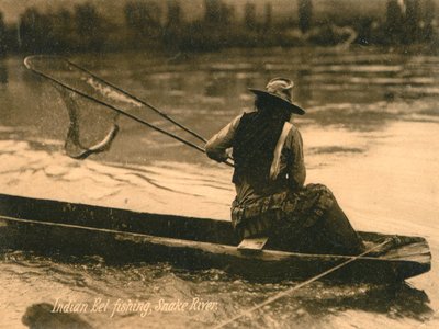 Indian Eel