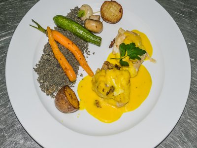 Indian Monkfish