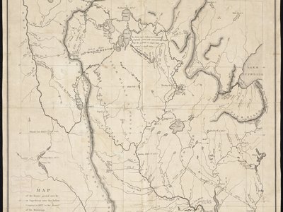 Indian Volute