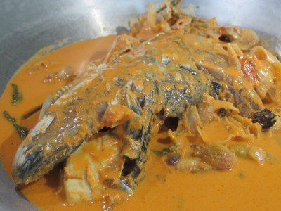 Indonesian Snapper