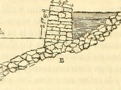 Intermediate Moray
