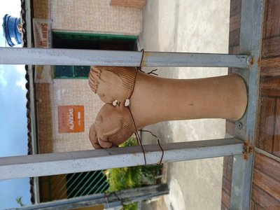 Irineia
