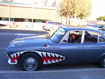 Jaguar Shark