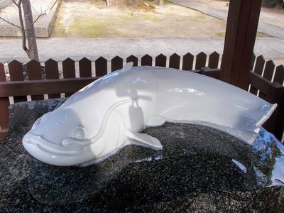 Japanese Catfish